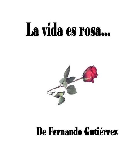 Sin Nombre